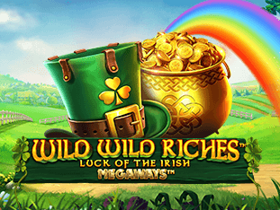 وائلڈ وائلڈ رِچز میگا ویز game thumbnail
