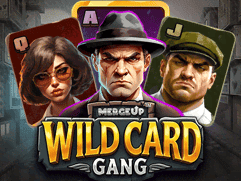 وائلڈ کارڈ گینگ game thumbnail